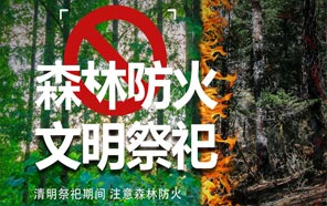 清明節：文明祭奠、預防火災