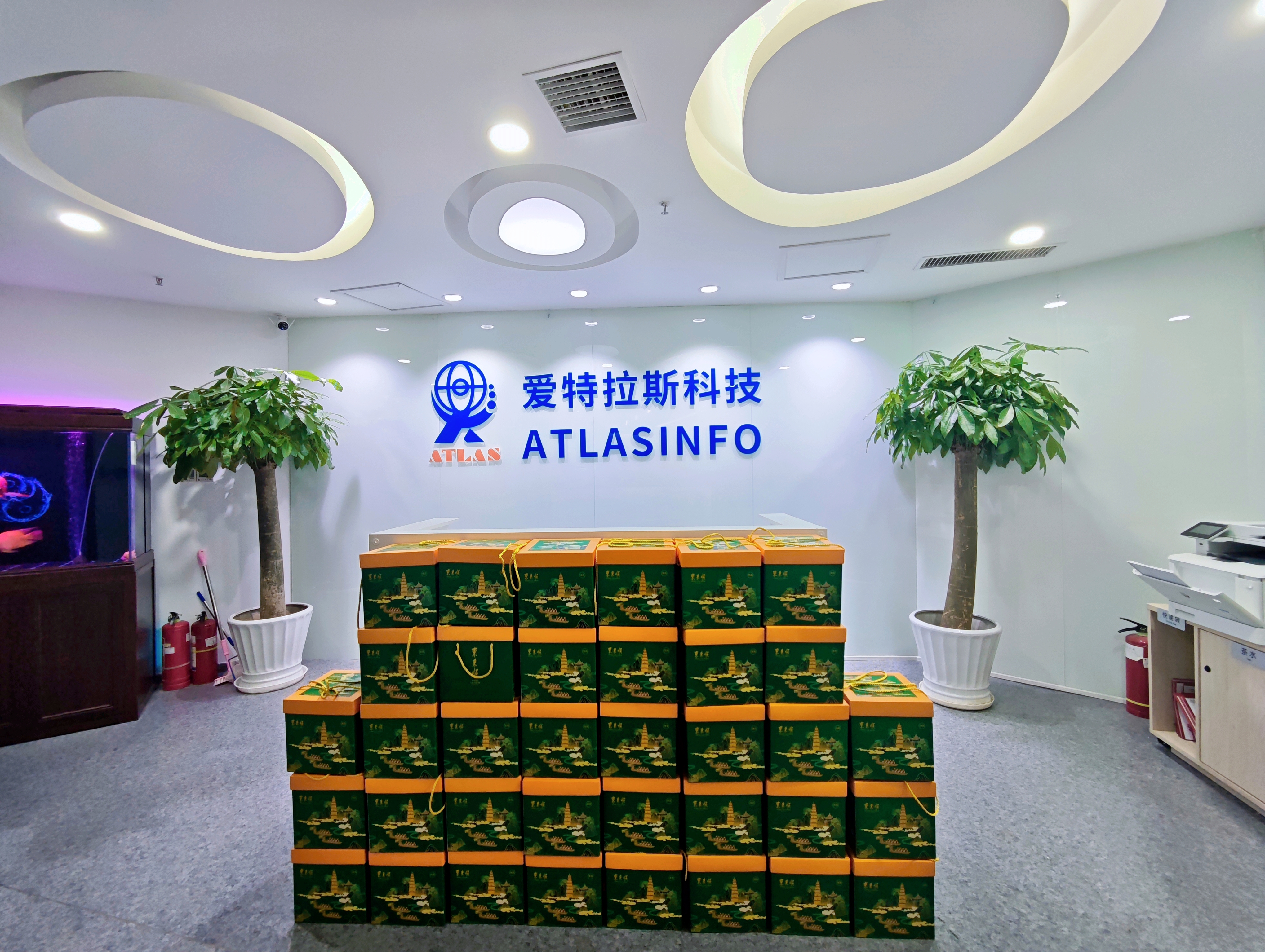 端午團圓時(shí)，思念是粽葉包裹的情